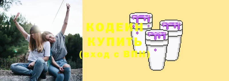 где можно купить наркотик  Заречный  Кодеин Purple Drank 